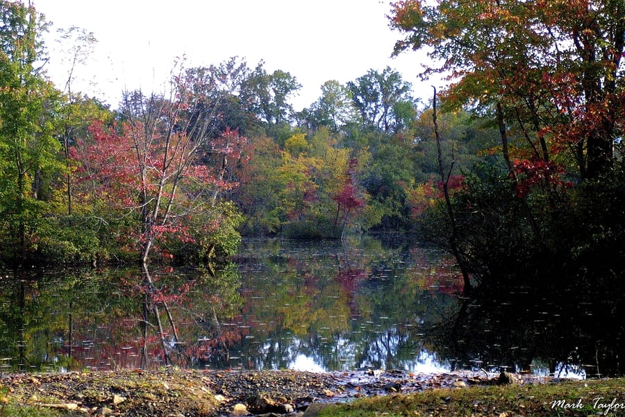 Nature photograph
