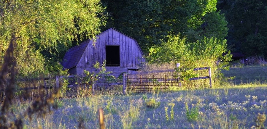 Buildings photograph