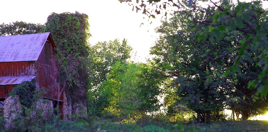 Buildings photograph