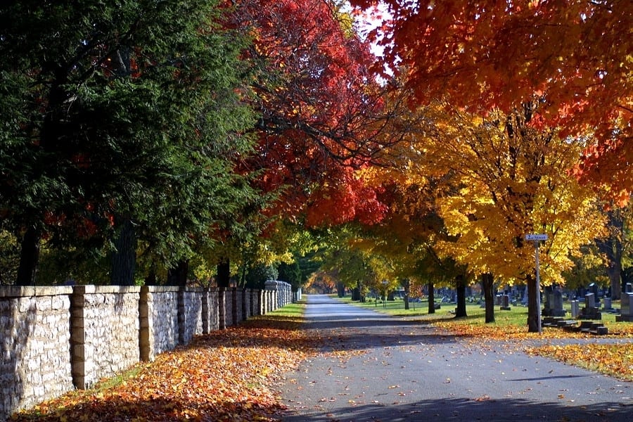 Nature photograph