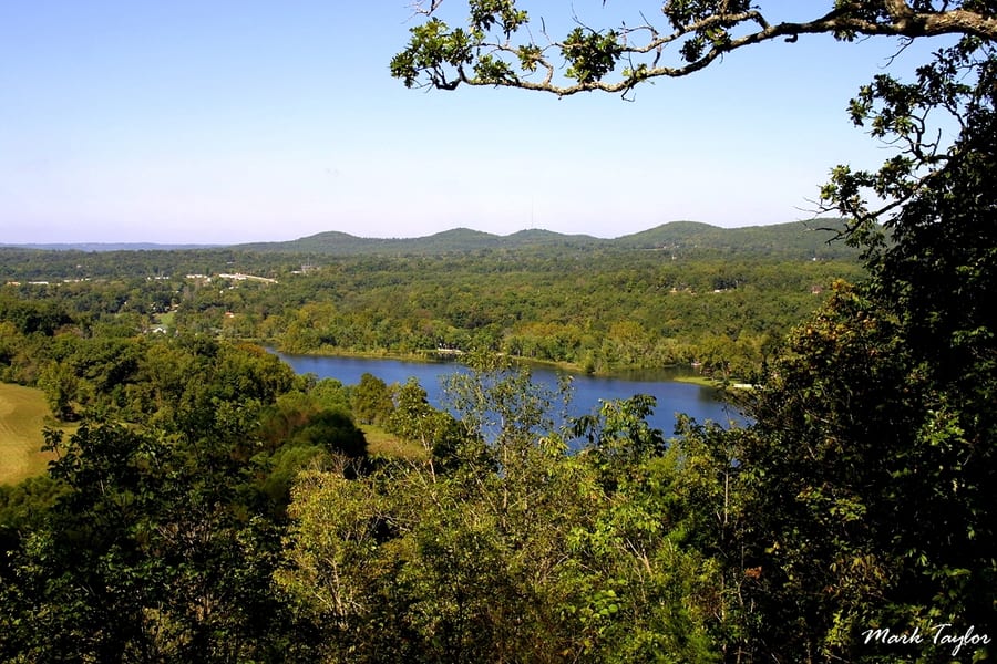 Nature photograph