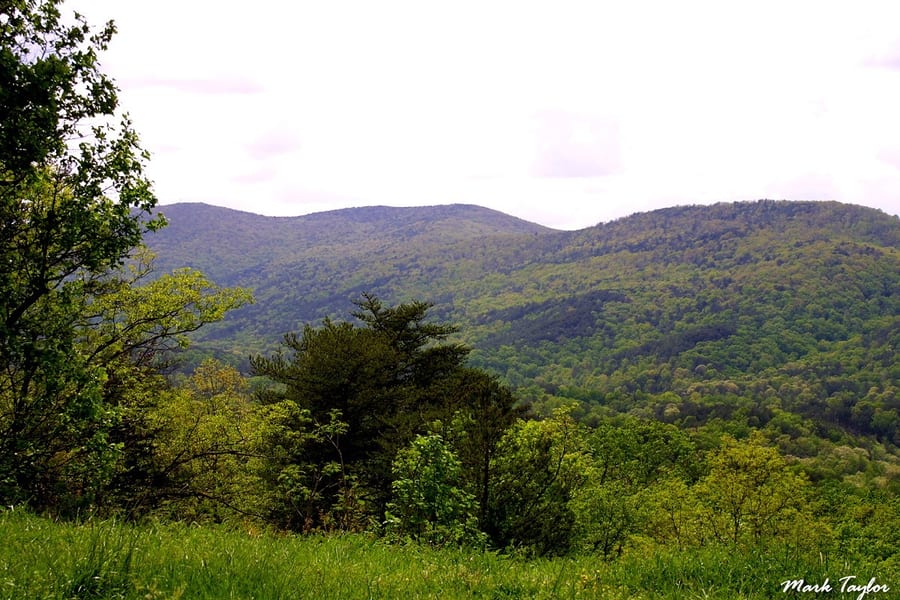 Nature photograph
